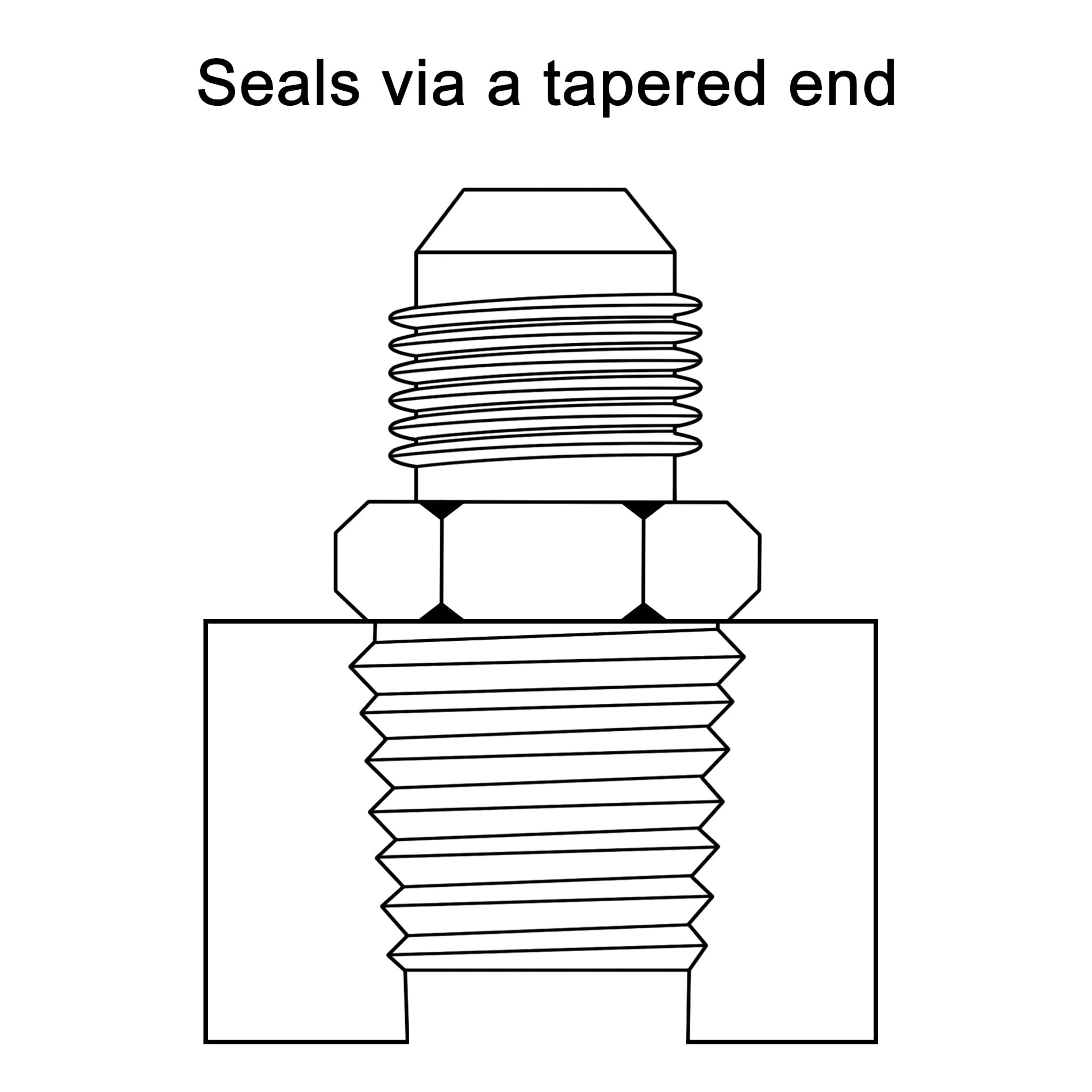 EVIL ENERGY four adapters arranged in tray illustrating kit quantity and organized storage
