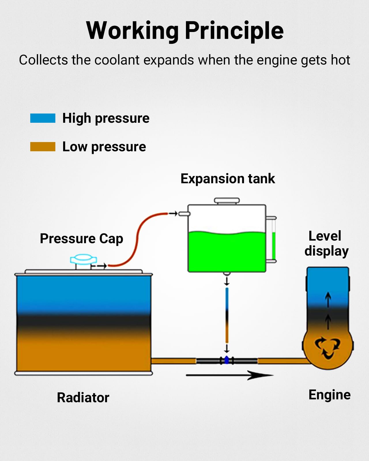 EVIL ENERGY size comparison with hand illustrating 1L compact capacity