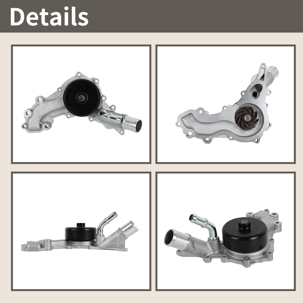 EvTok AW6169 gasket beside pump in packaging for easy install confirmation