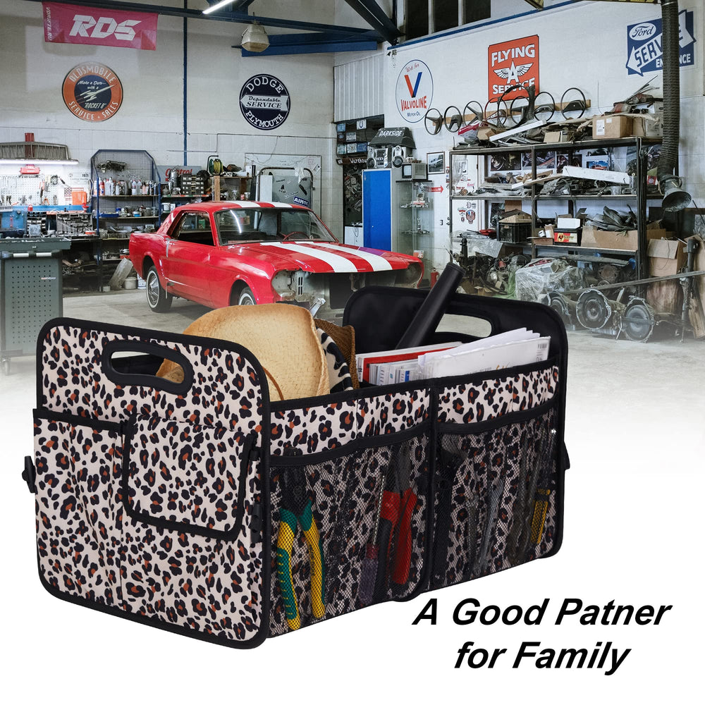 Femuar placed in car trunk holding groceries and bags neatly