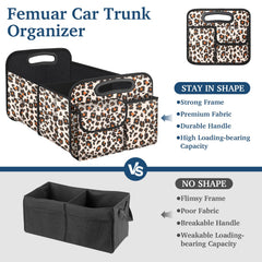 Femuar interior with removable divider showing custom compartment organization