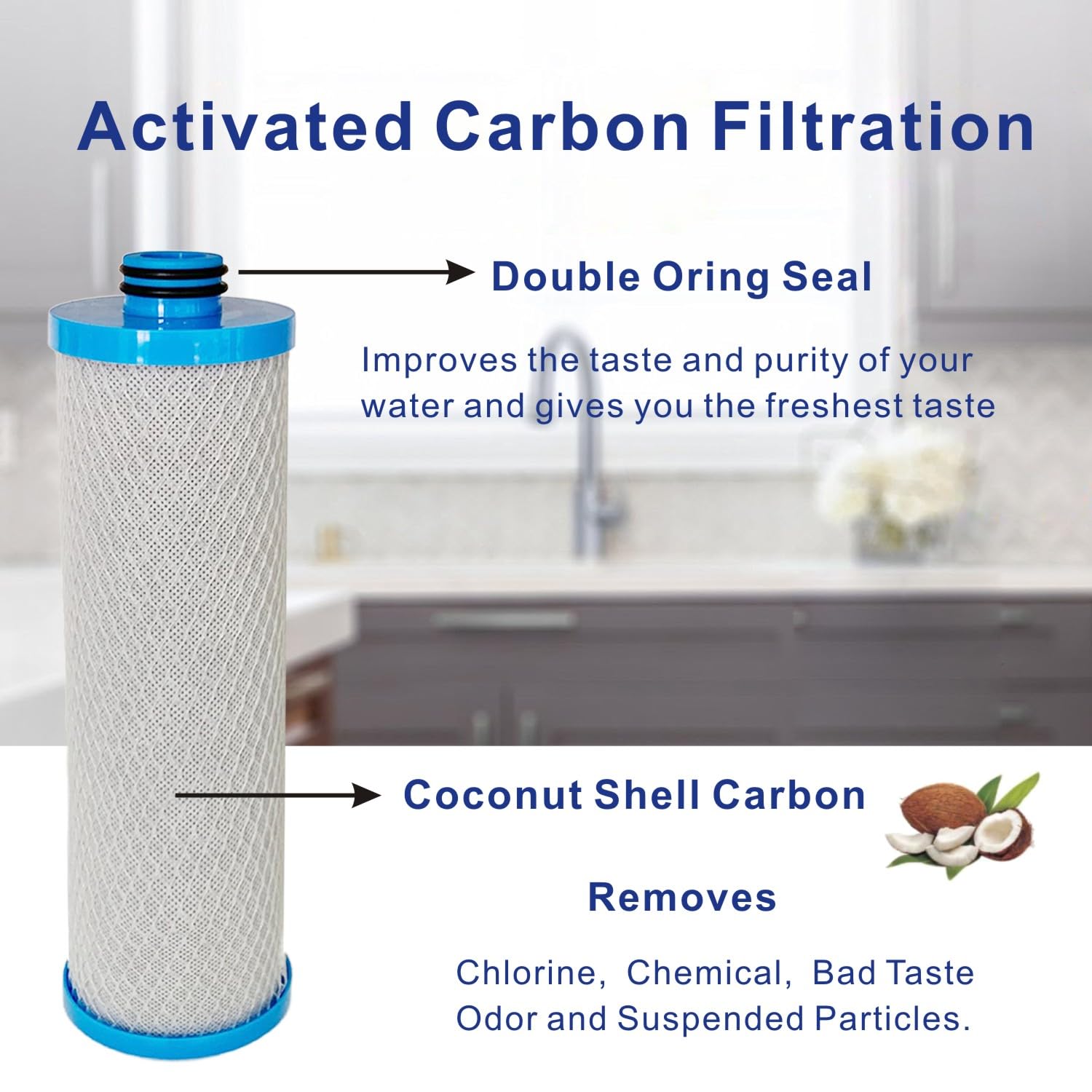 FILSADAE close-up of coconut shell carbon interior showing adsorption surface benefits
