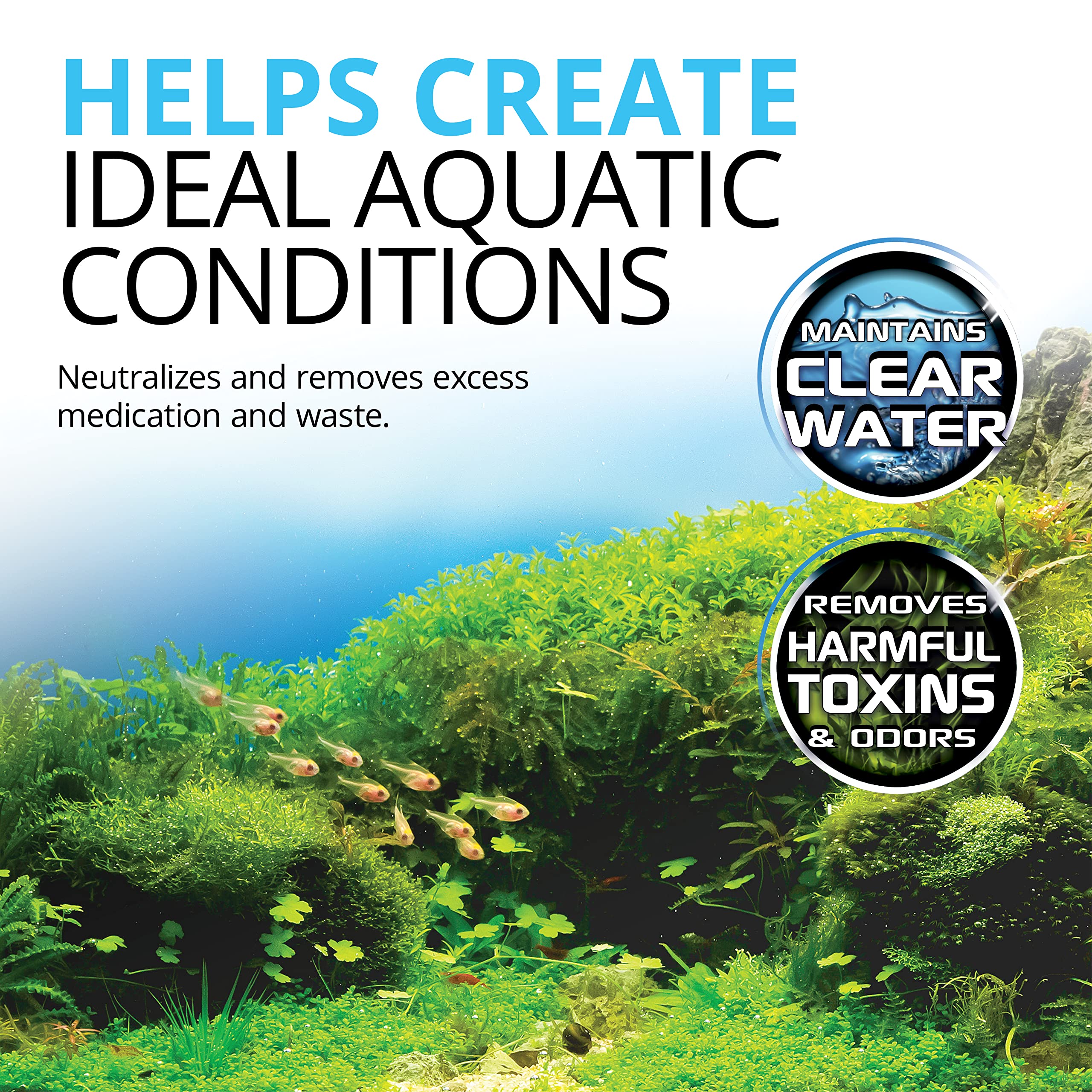Fluval before-and-after aquarium clarity image showing benefit of carbon polishing