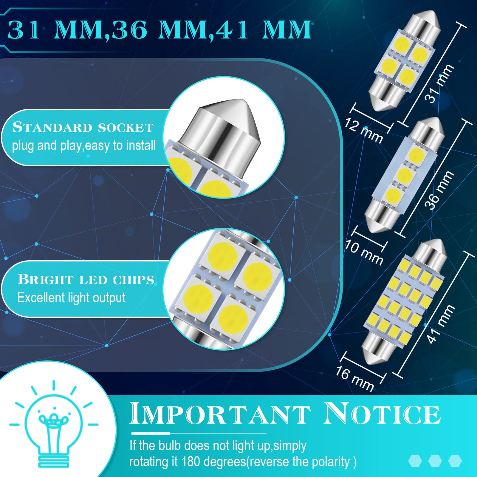 Frienda overhead layout displaying the seven bulb sizes for quick selection and spares