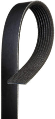 Gates belt next to ruler size comparison for correct OE-length verification