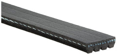 Gates K040337SF rib closeup highlighting EPDM compound for improved wear resistance