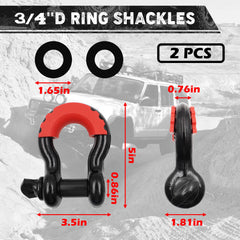 Handfly pair of 3/4" D-ring shackles showing secure forged connection