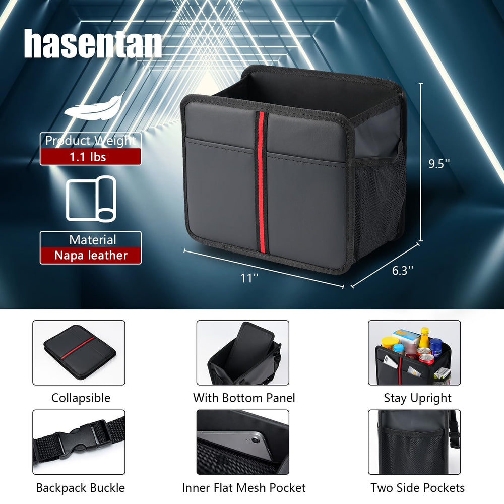 hasentan mounted on backseat demonstrating organized travel benefit