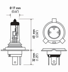 Hella bulb installed in vehicle headlight demonstrating improved road visibility at night