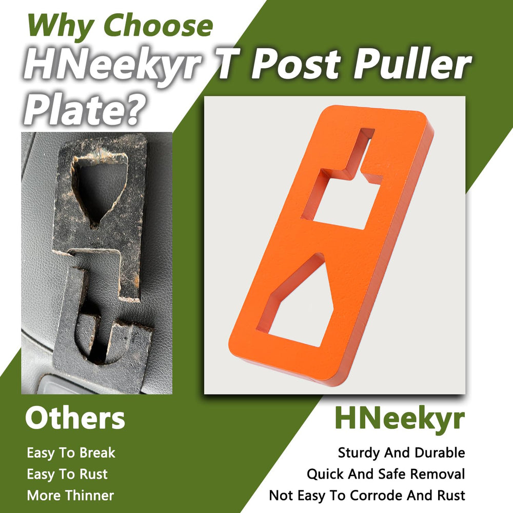 HNeekyr plate beside a ruler showing scale for correct sizing and fitment planning
