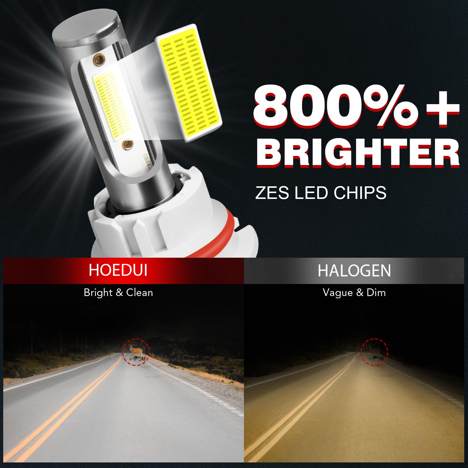 HOEDUI beside a halogen bulb showing compact size and identical footprint