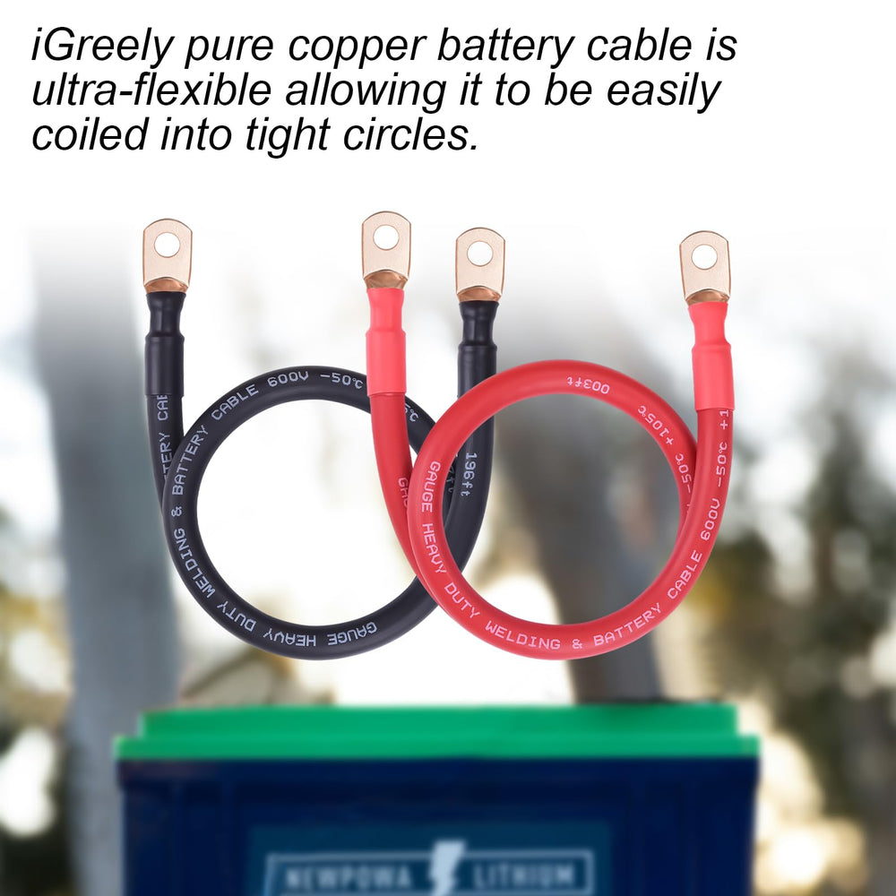 iGreely red and black cables laid out with clear labeling for polarity identification
