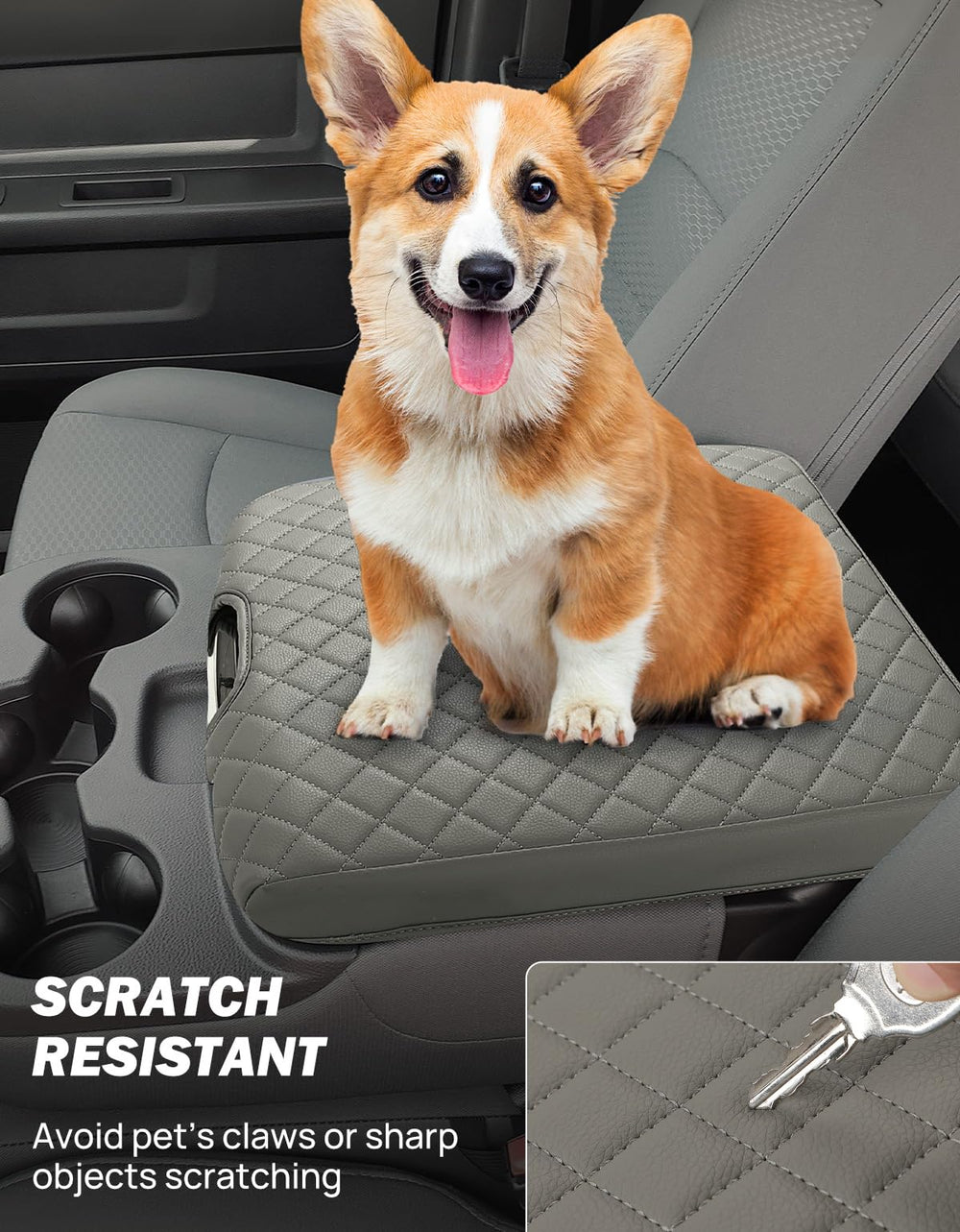 JOYTUTUS demo with dog paw showing pet-resistant surface and anti-scratch benefit