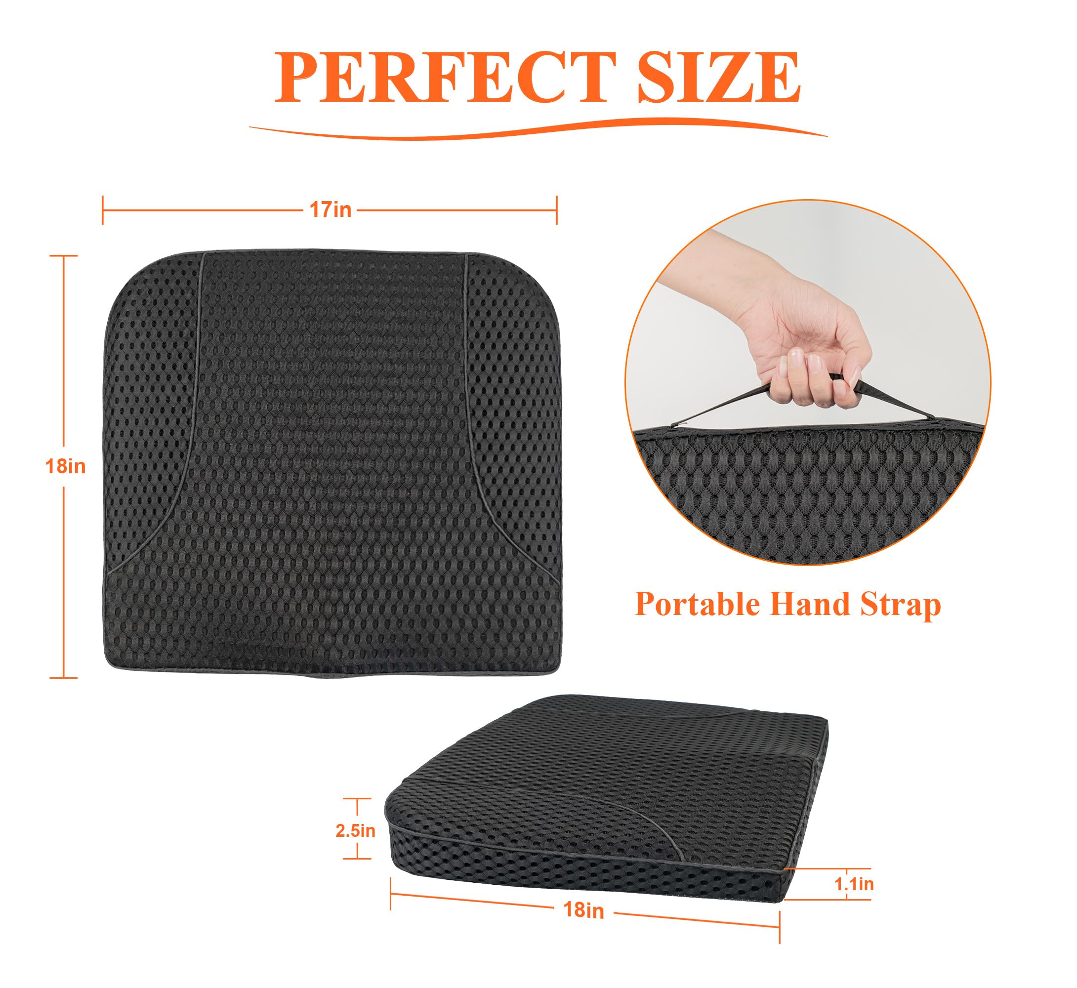 kingphenix scale with ruler showing 2.5 inch height increase
