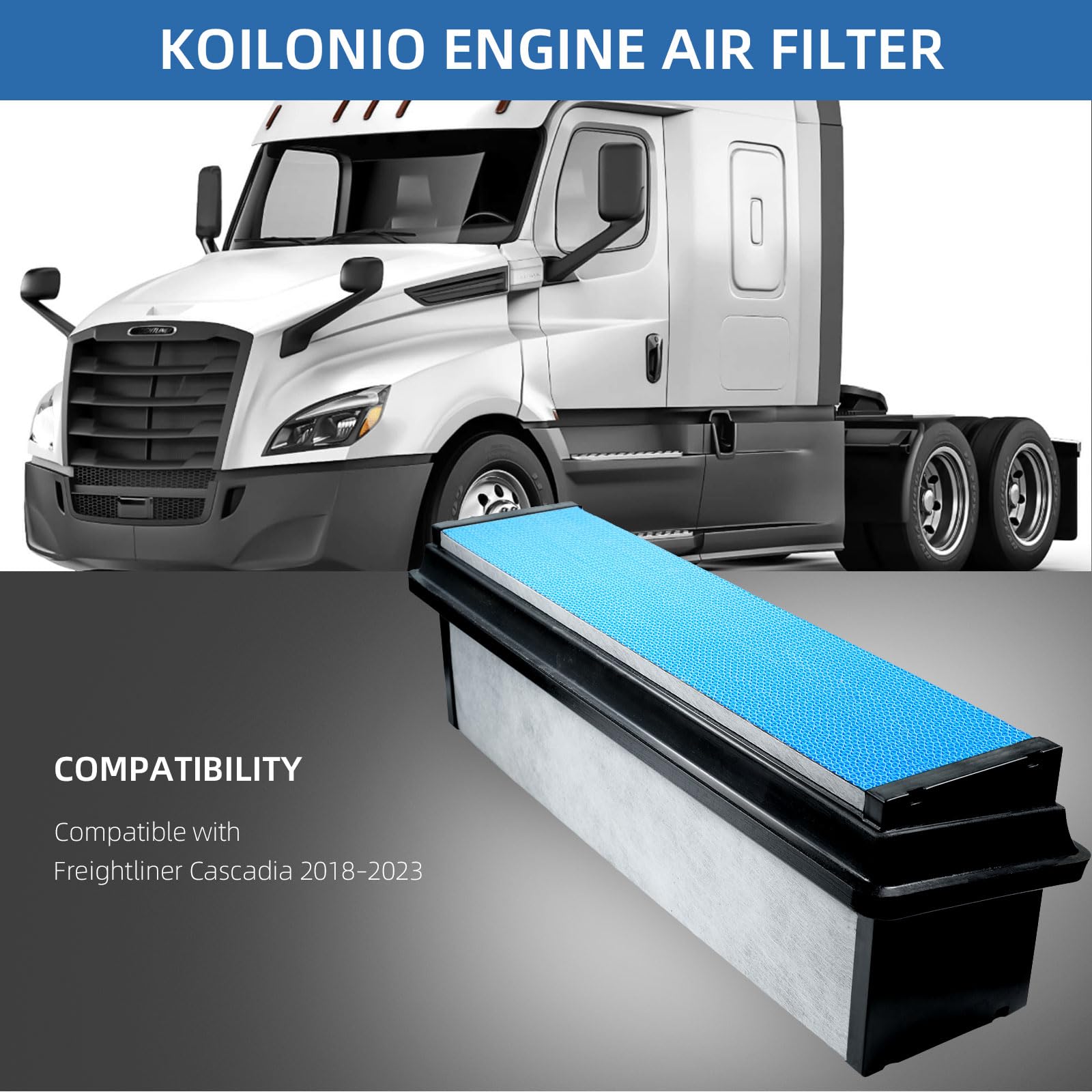 Koilonio close-up of pleated filter media demonstrating high particle capture efficiency