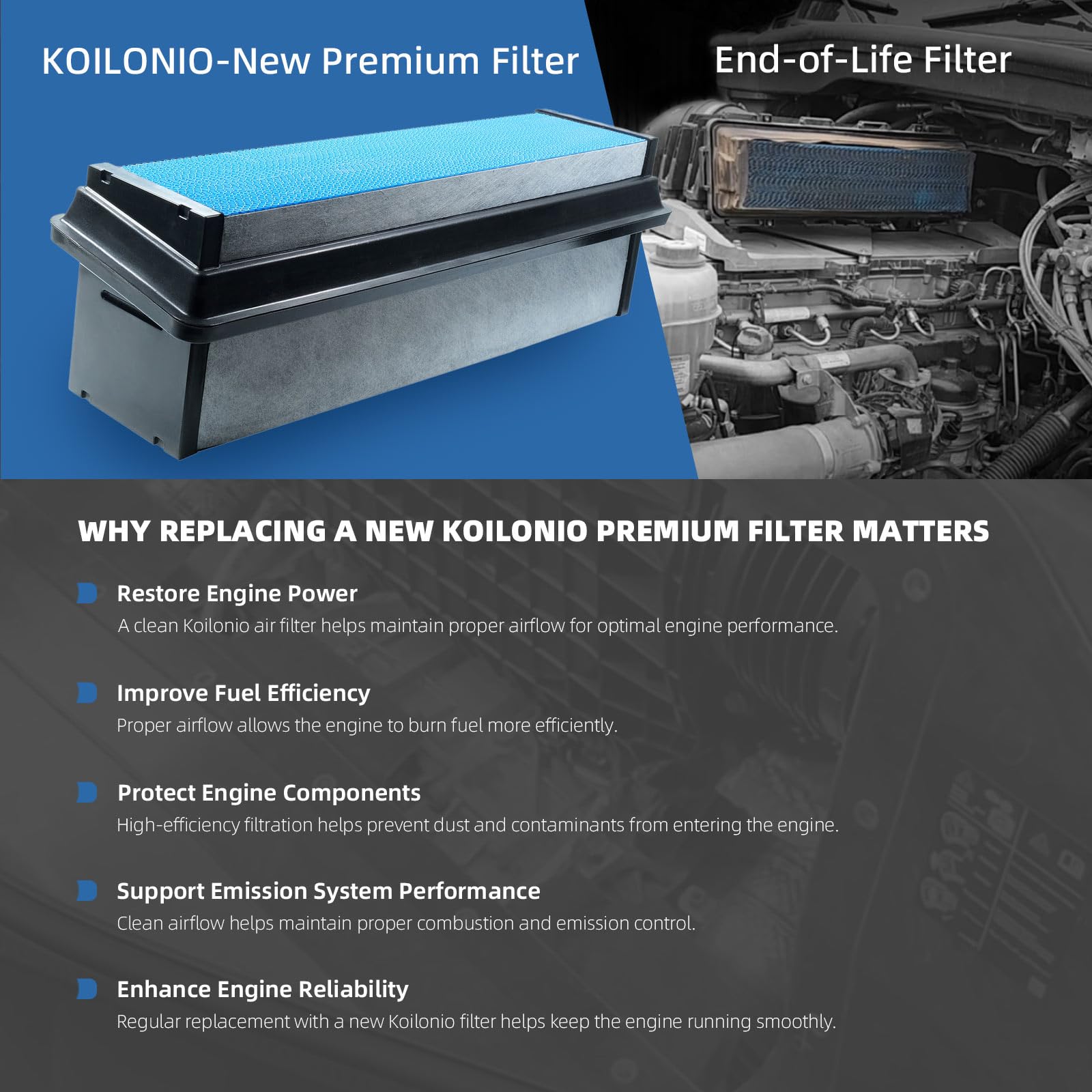 Koilonio filter beside ruler illustrating dimensions for confident part selection