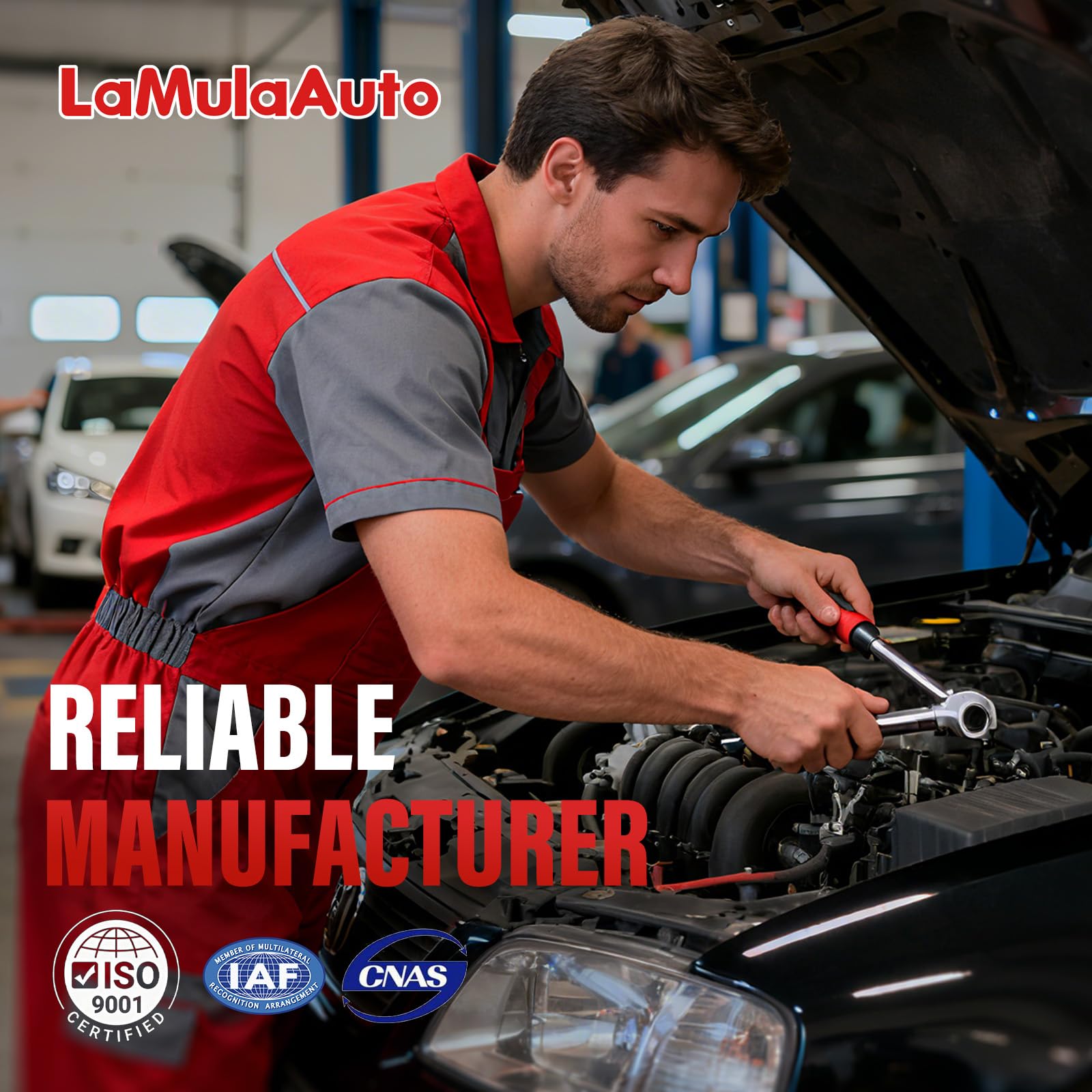 LaMulaAuto boxed with all included parts for convenient installation