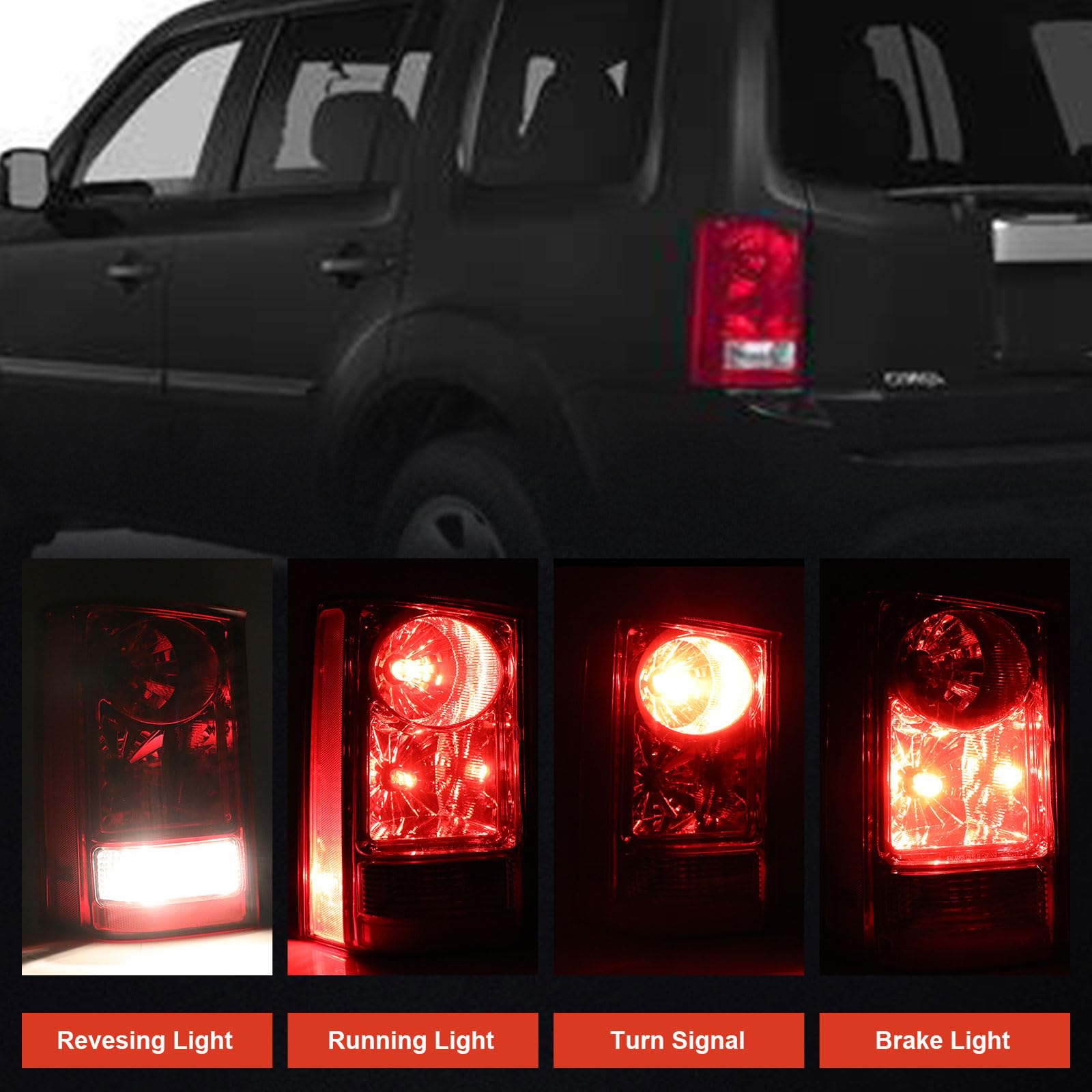 Lathsy tail light held by hand to show scale and fitment clarity benefit