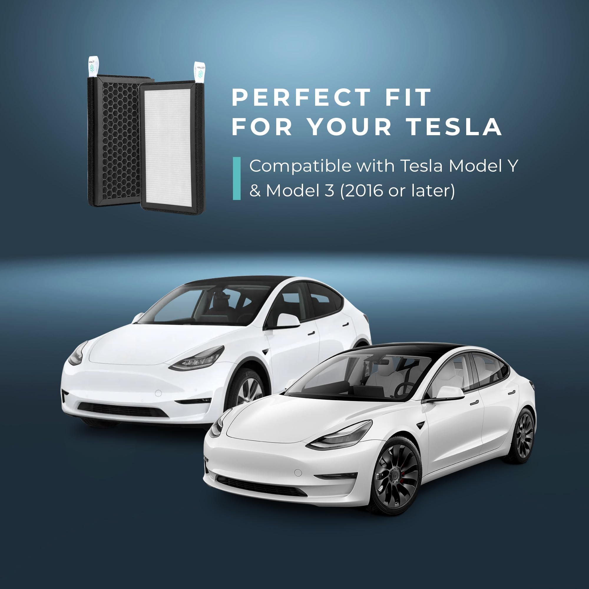 Lectron filters in a Tesla interior illustrating cleaner air for driver comfort