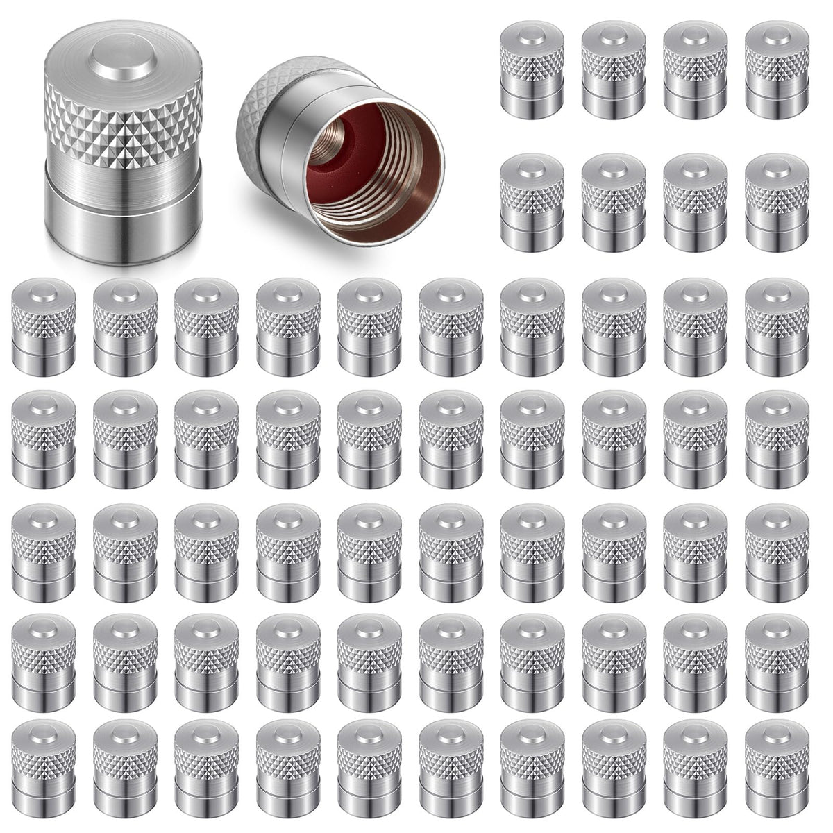 LEIFIDE front view of 100-pack valve caps showing neat packaging and value