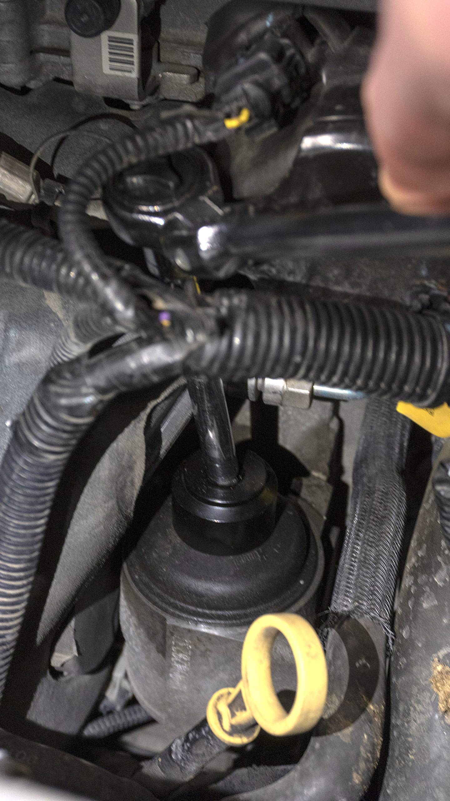 Lisle socket engaged on fuel filter canister under hood demonstrating access in tight clearance