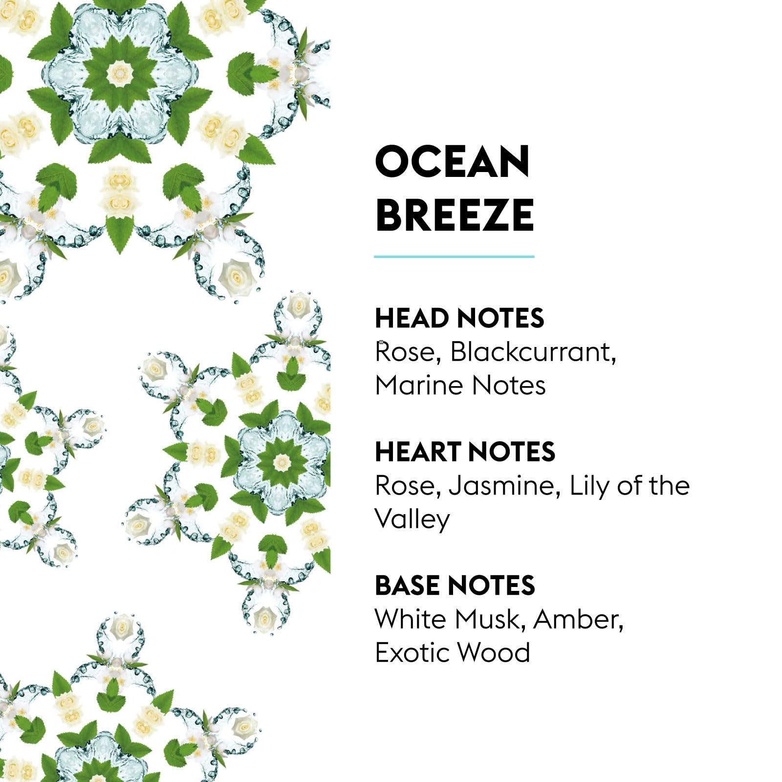 MAISON BERGER fragrance notes layout showing marine and floral balance for subtle aroma