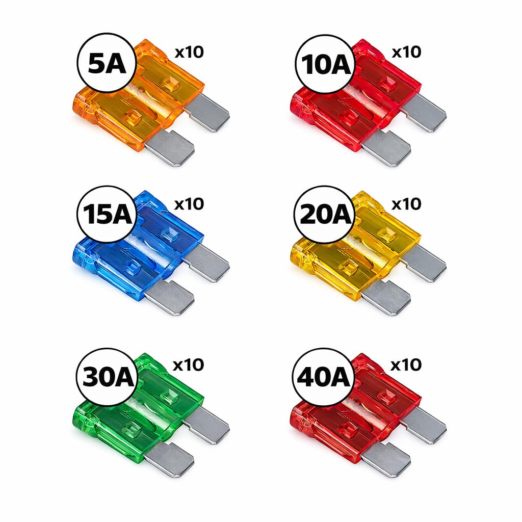 MGI SpeedWare organized array of fuses by amperage for easy selection and inventory