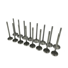 Mievlyo exhaust valve close-up showing stem and head for heat resistance benefit