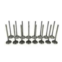 Mievlyo valve kit front packaging showing complete replacement set and reassurance of fit