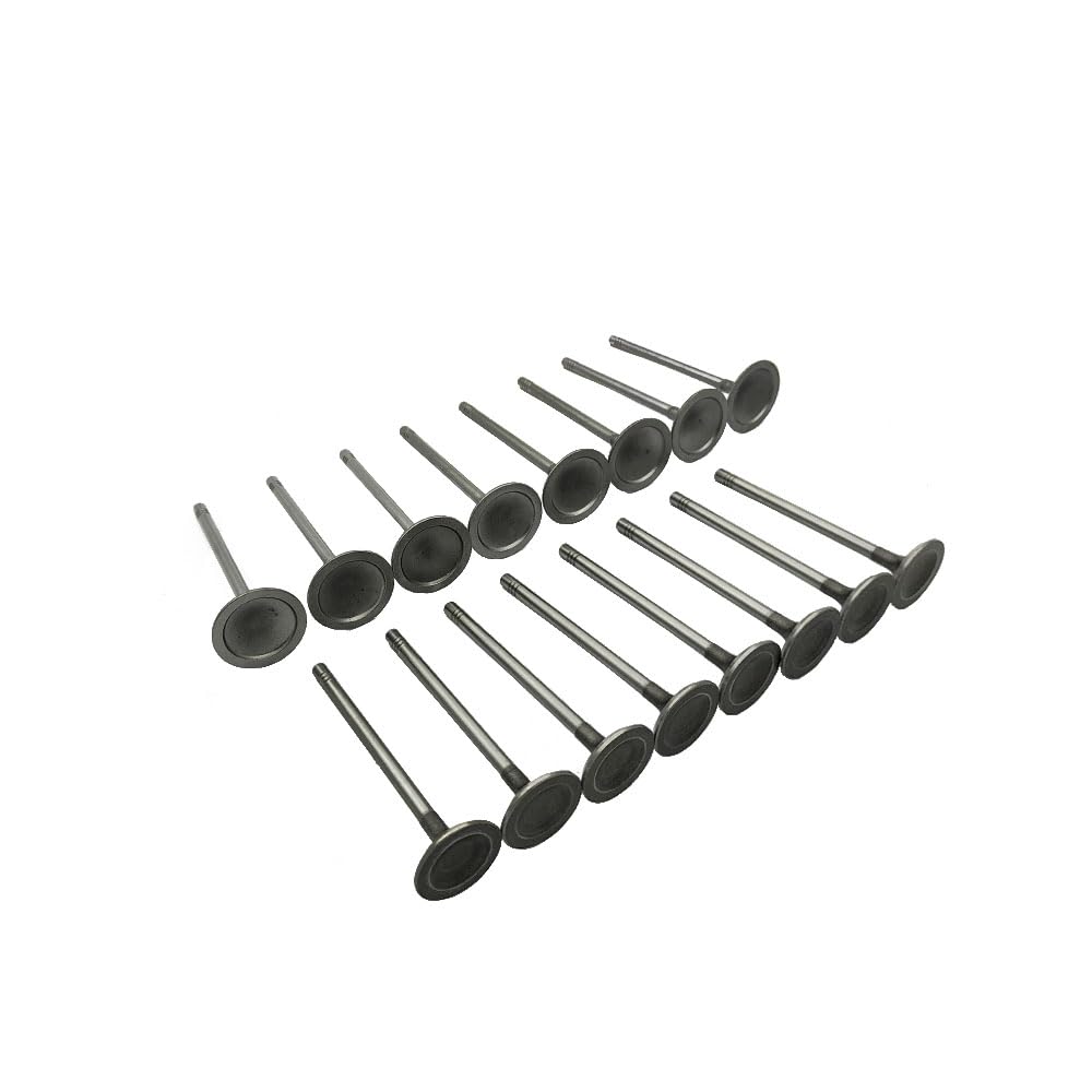 Mievlyo valves installed on cylinder head demonstrating restored sealing and fitment
