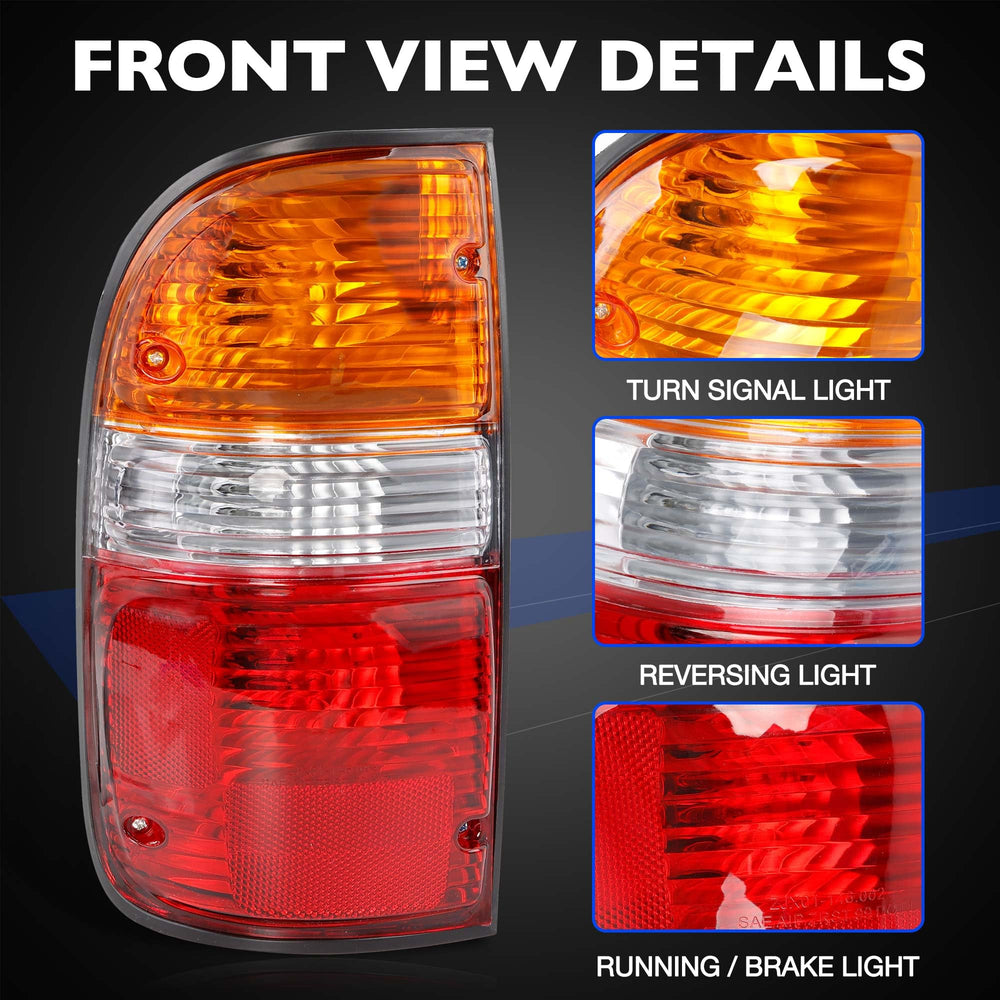 Misakomo exposed bulbs and wiring harness detail for easy plug-and-play install