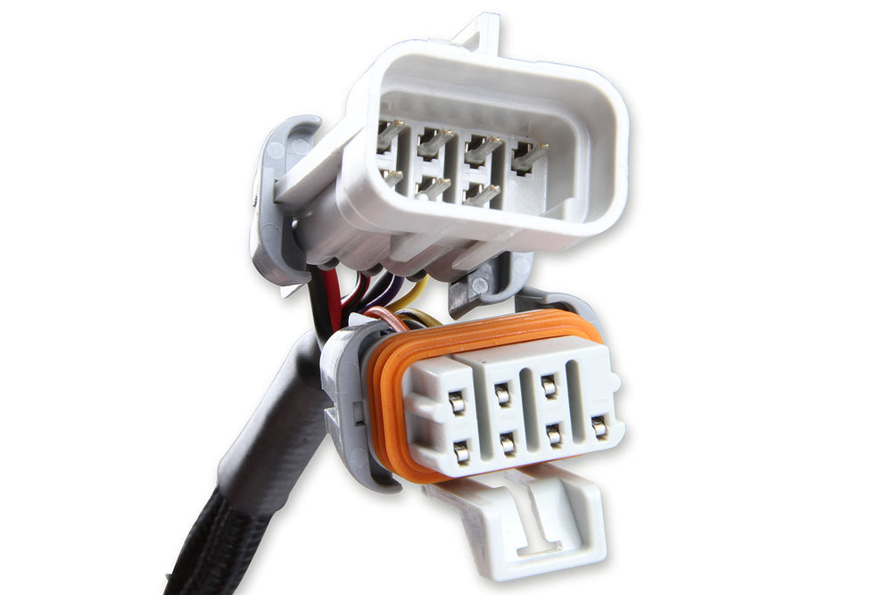 MSD 8733 crank trigger input closeup showing 24x and 58x support