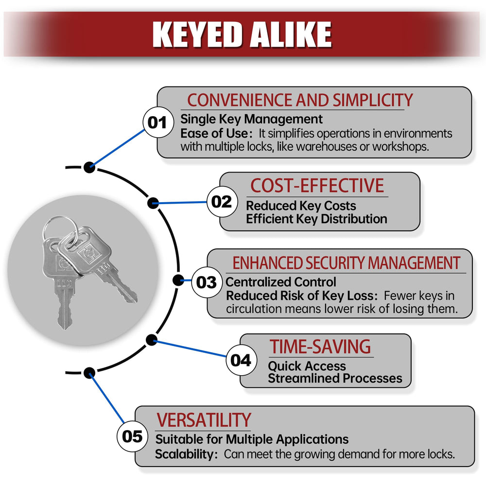 NAKANEKO two keys spread for one lock showing spare-key redundancy advantage