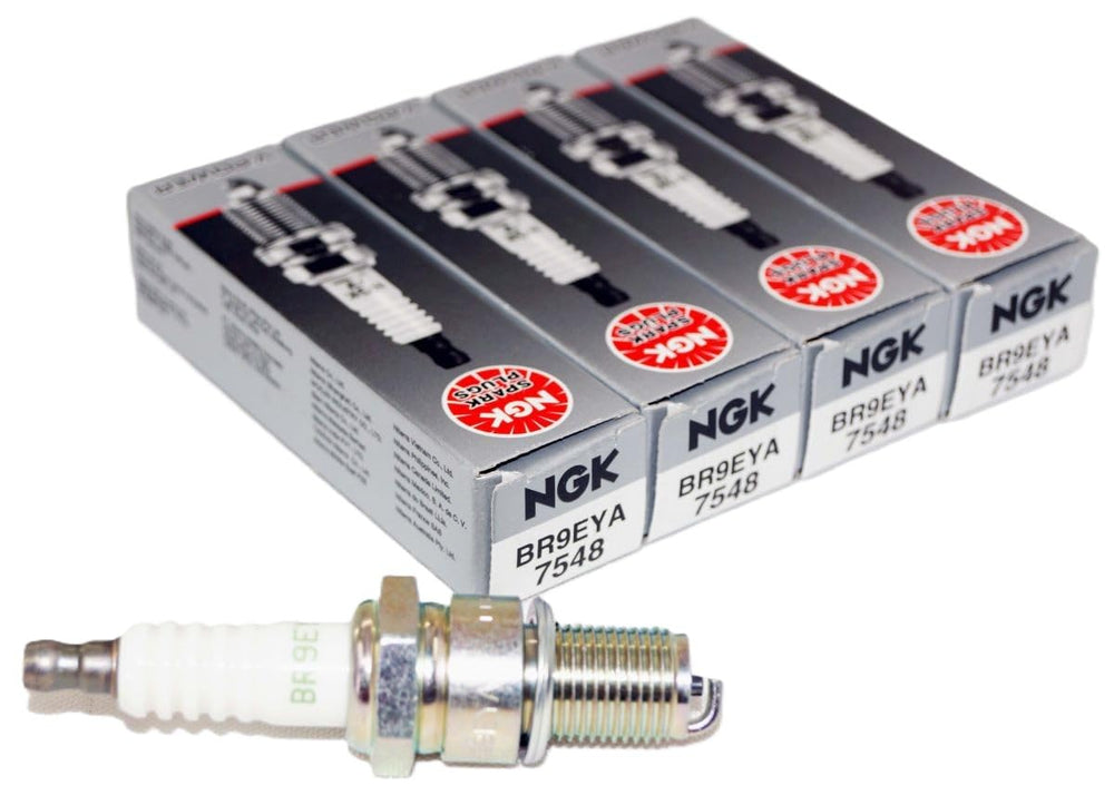 NGK front packaging showing the 4-pack and product labeling for quick identification