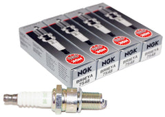 NGK front packaging showing the 4-pack and product labeling for quick identification