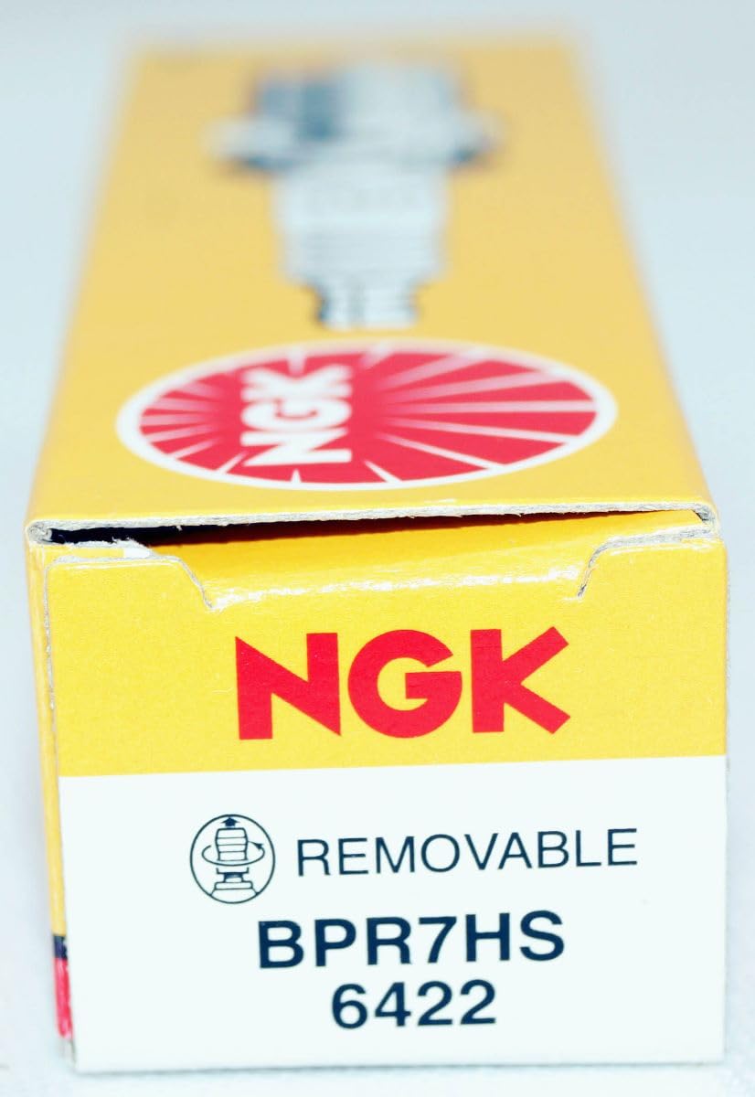 NGK on a workbench demonstrating readiness for routine maintenance tasks