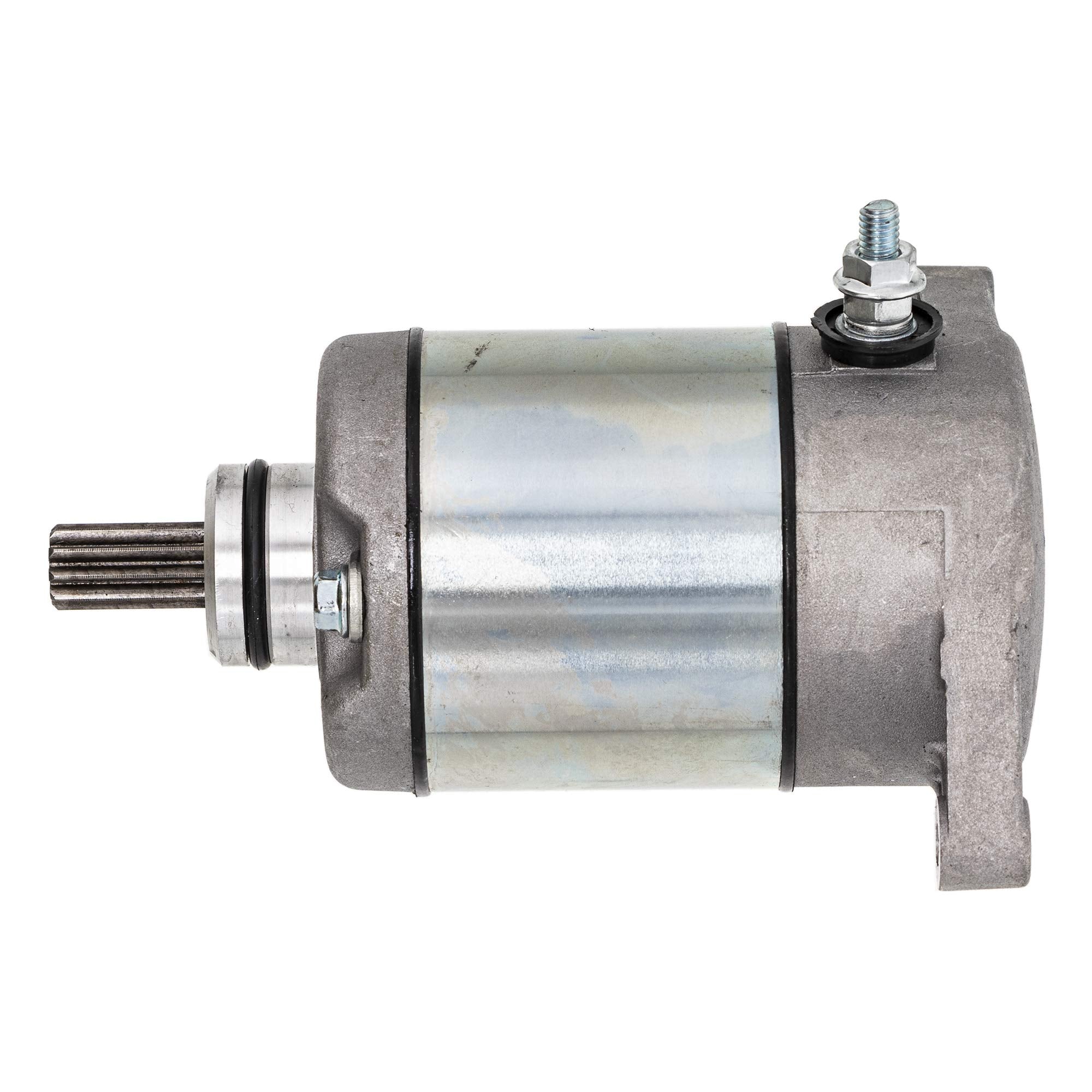 NICHE starter pinion closeup highlighting 10 teeth for correct gear engagement