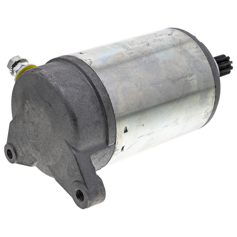 NICHE starter held in hand to show compact size and replacement convenience