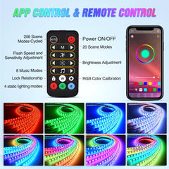 Nilight control box and remote together showing ease of use and benefit: simple operation