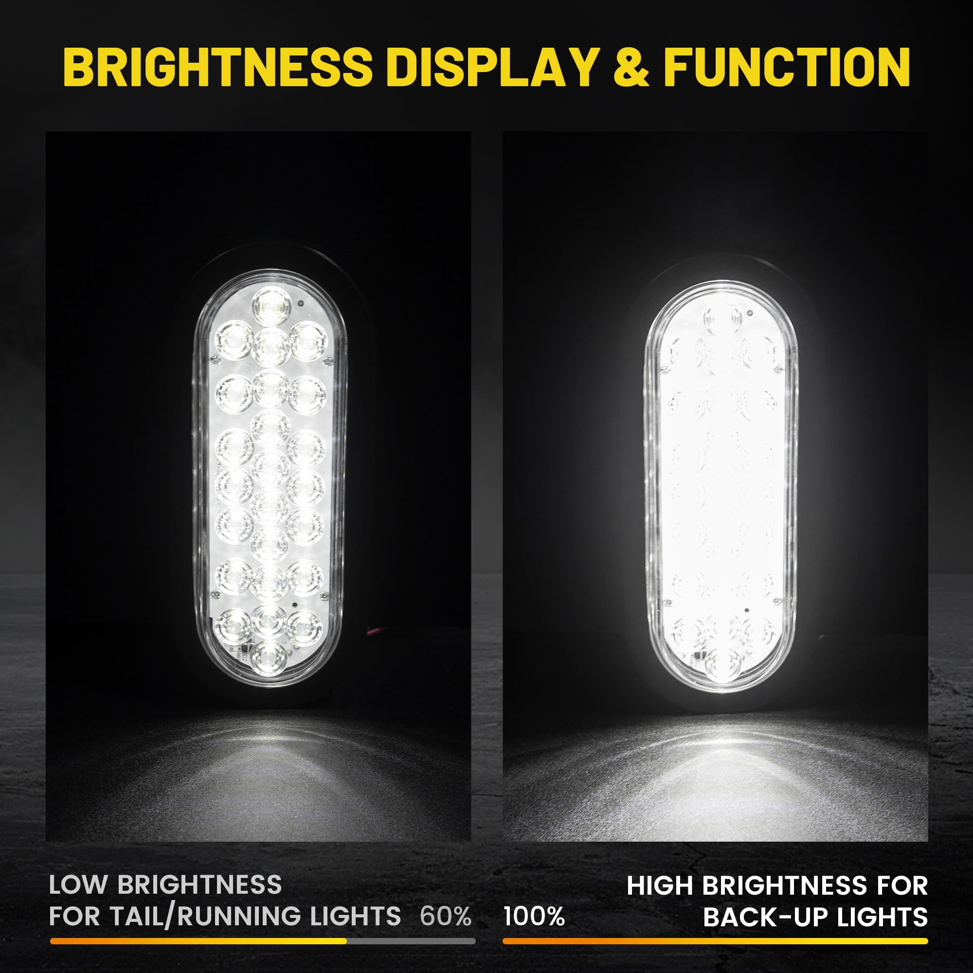 Oyviny close-up of the 24 LEDs and lens detailing offering improved light output