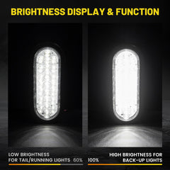 Oyviny close-up of the 24 LEDs and lens detailing offering improved light output