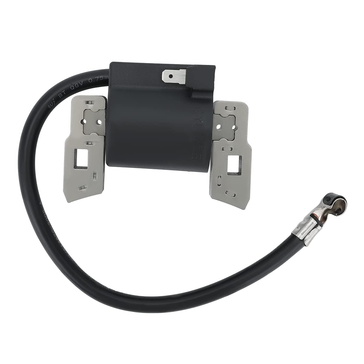 Panari packaging and single ignition coil included in the product box