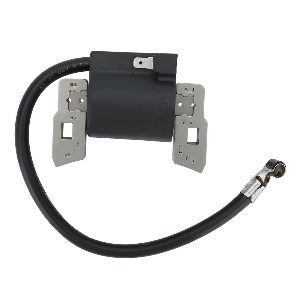 Panari packaging and single ignition coil included in the product box