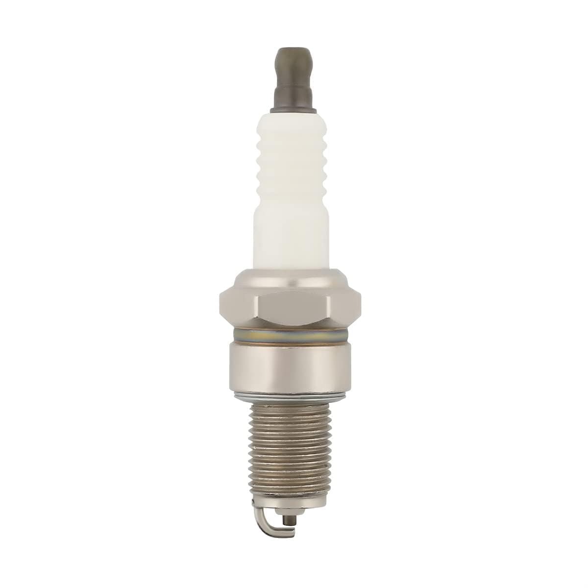 Panari packaging and kit contents showing coil plus spark plug ready for install