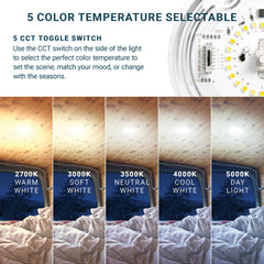 PARMIDA installed in an RV ceiling illustrating bright, adjustable illumination for travel interiors