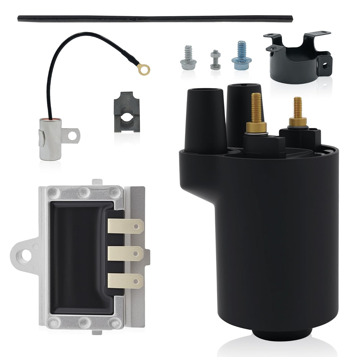 Rayesyth front packaging showing ignition coil and rectifier, quick kit identification benefit