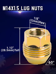 Reeauto close-up of external thread profile highlighting accurate M14x1.5 fit and strong engagement