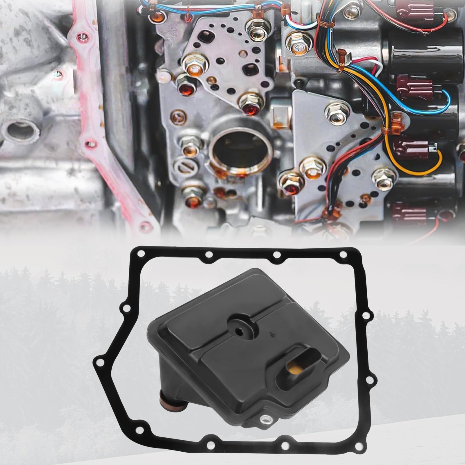 Reeoutdoor filter with transmission fluid illustrating contamination capture