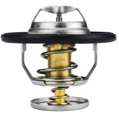 RICHWEI thermostat front view showing full housing and mounting holes for correct fit
