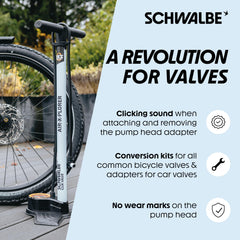 Schwalbe Clik valve pair with dust caps illustrating protection against dirt